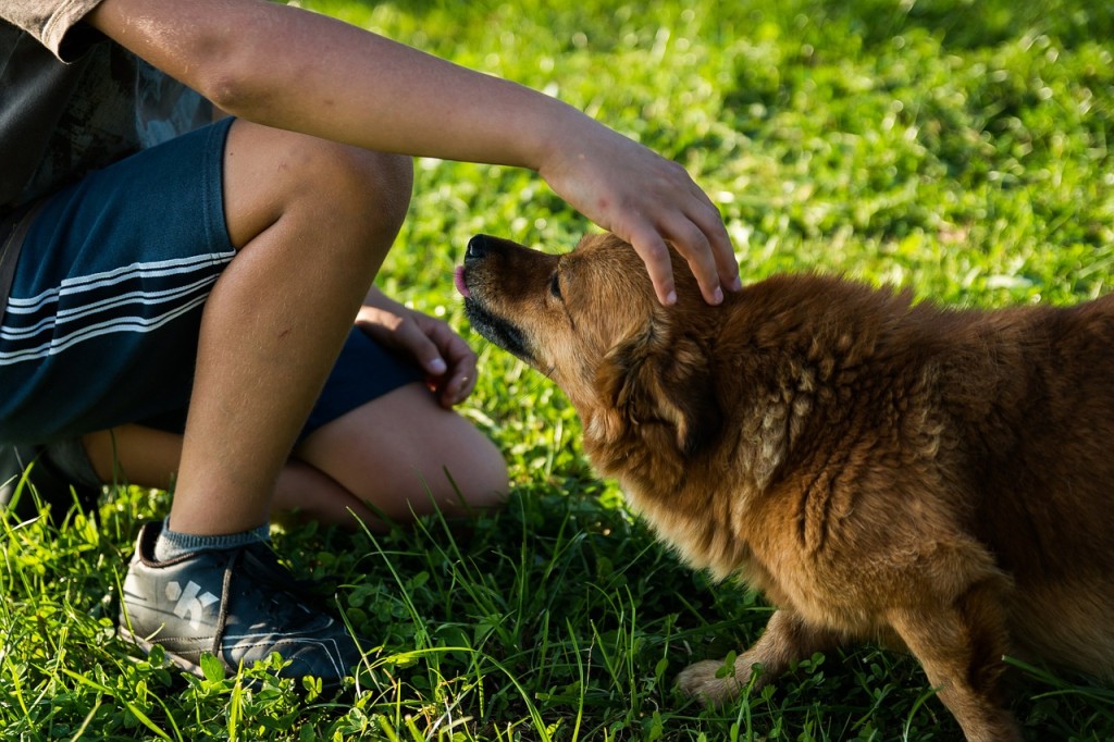 Hitting the dog park with your cute pooch is one of many alternative ways to find the one
